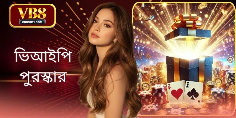 ভিআইপি পুরস্কার: VB8 থেকে সেরা অফার সিস্টেমগুলো জানুন